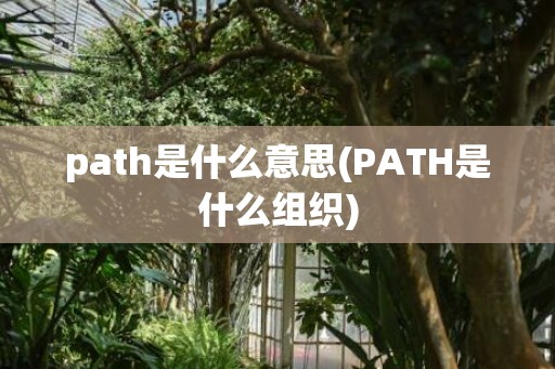 path是什么意思(PATH是什么组织)