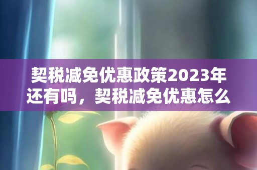 契税减免优惠政策2023年还有吗，契税减免优惠怎么申请