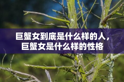 巨蟹女到底是什么样的人，巨蟹女是什么样的性格
