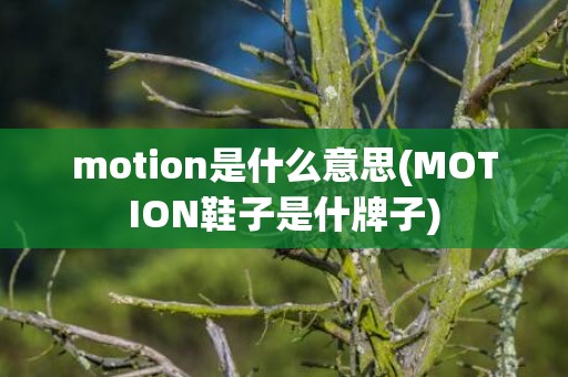 motion是什么意思(MOTION鞋子是什牌子)