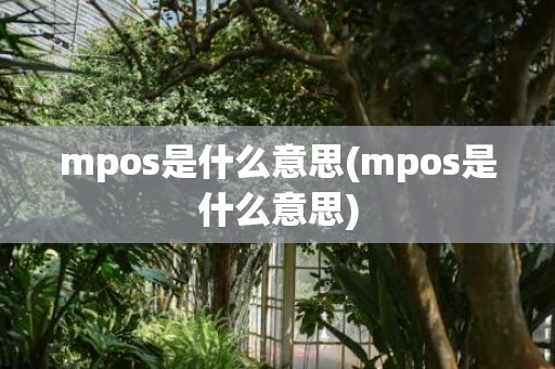 mpos是什么意思(mpos是什么意思)