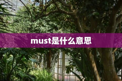 must是什么意思
