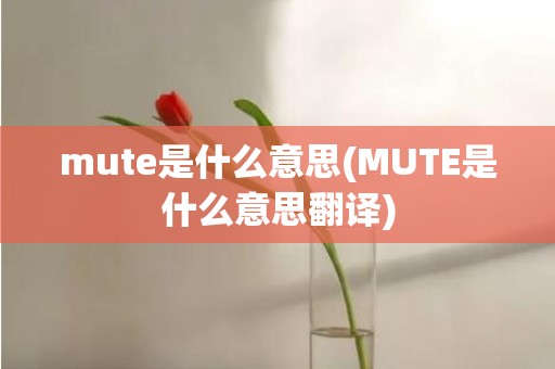 mute是什么意思(MUTE是什么意思翻译)