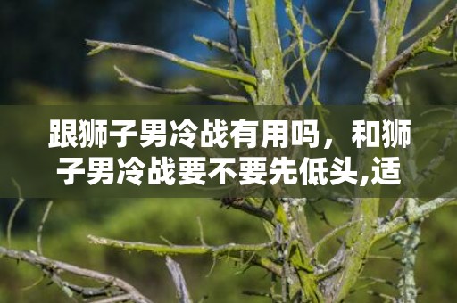 跟狮子男冷战有用吗，和狮子男冷战要不要先低头,适当给他一个台阶