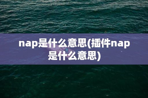 nap是什么意思(插件nap是什么意思)