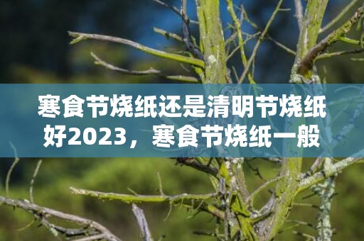 寒食节烧纸还是清明节烧纸好2023，寒食节烧纸一般都是什么时候