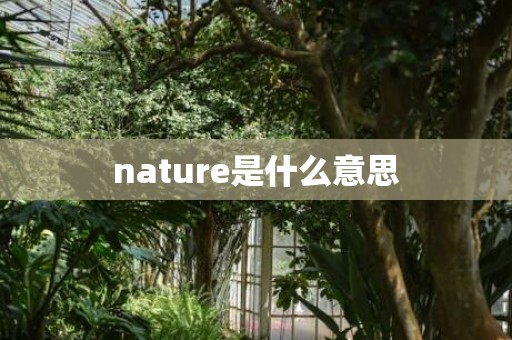 nature是什么意思