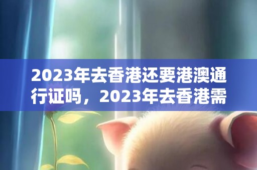 2023年去香港还要港澳通行证吗，2023年去香港需要签注吗