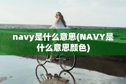 navy是什么意思(NAVY是什么意思颜色)