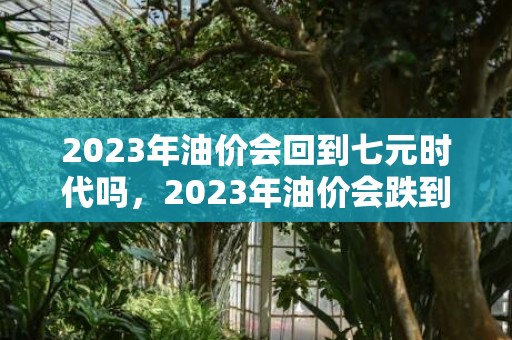 2023年油价会回到七元时代吗，2023年油价会跌到7元吗