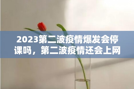 2023第二波疫情爆发会停课吗，第二波疫情还会上网课吗