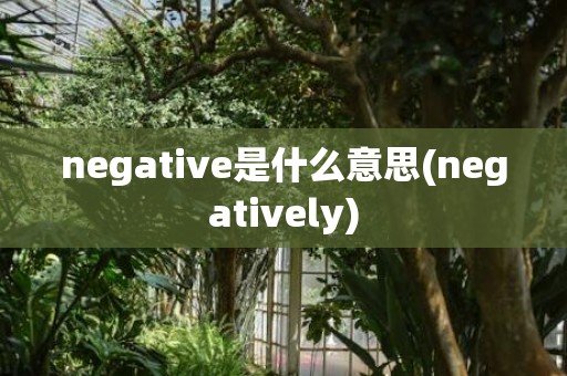 negative是什么意思(negatively)