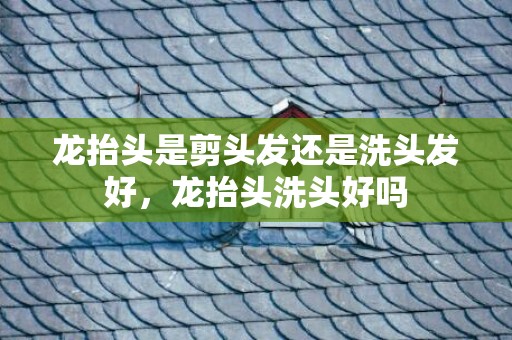 龙抬头是剪头发还是洗头发好，龙抬头洗头好吗