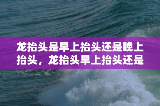 龙抬头是早上抬头还是晚上抬头，龙抬头早上抬头还是下午抬头