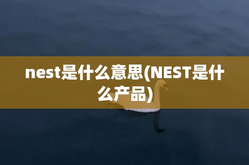 nest是什么意思(NEST是什么产品)