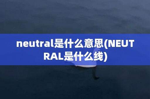 neutral是什么意思(NEUTRAL是什么线)