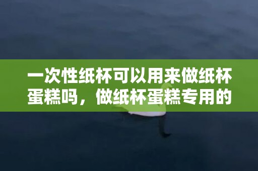 一次性纸杯可以用来做纸杯蛋糕吗，做纸杯蛋糕专用的杯子叫什么