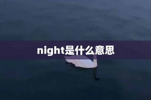 night是什么意思