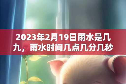 2023年2月19日雨水是几九，雨水时间几点几分几秒钟