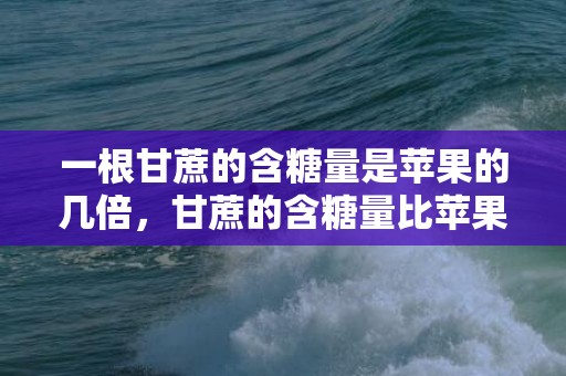 一根甘蔗的含糖量是苹果的几倍，甘蔗的含糖量比苹果高多少