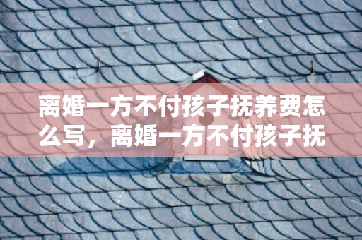 离婚一方不付孩子抚养费怎么写，离婚一方不付孩子抚养费怎么办理