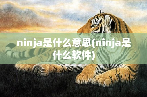 ninja是什么意思(ninja是什么软件)