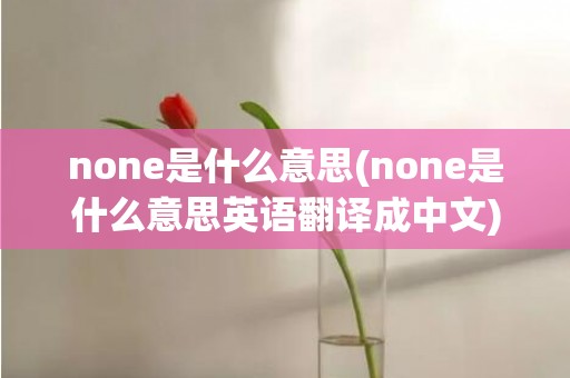 none是什么意思(none是什么意思英语翻译成中文)