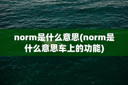 norm是什么意思(norm是什么意思车上的功能)