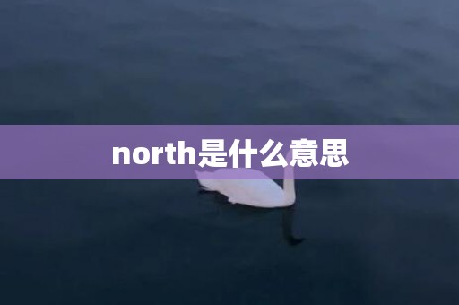 north是什么意思