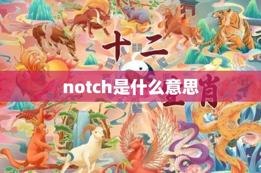 notch是什么意思