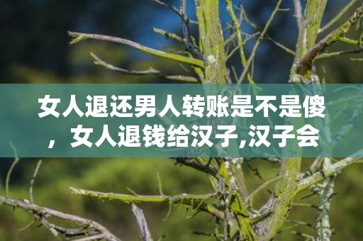 女人退还男人转账是不是傻，女人退钱给汉子,汉子会怎么想?