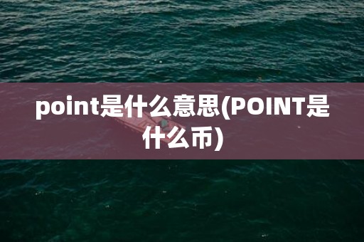 point是什么意思(POINT是什么币)