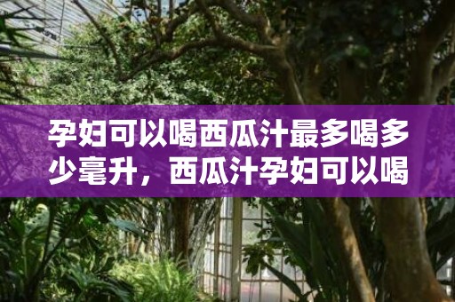 孕妇可以喝西瓜汁最多喝多少毫升，西瓜汁孕妇可以喝吗，孕妇不能吃什么食物