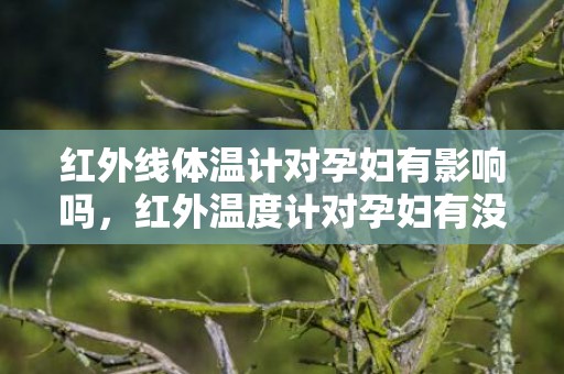 红外线体温计对孕妇有影响吗，红外温度计对孕妇有没有影响，红外温度计测额头准吗