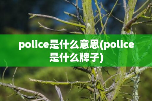police是什么意思(police是什么牌子)