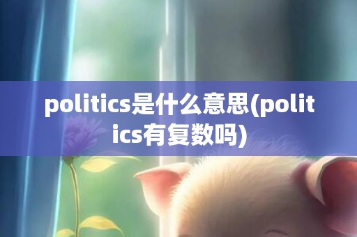 politics是什么意思(politics有复数吗)