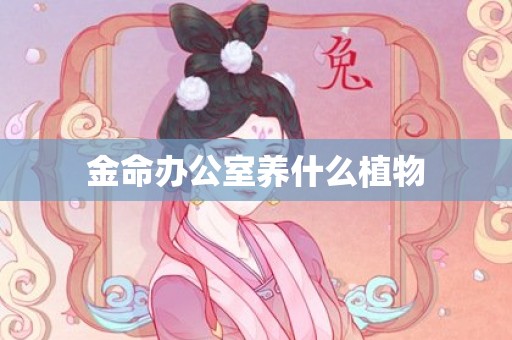 金命办公室养什么植物