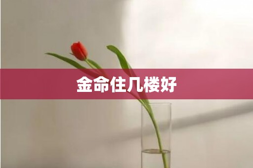 金命住几楼好