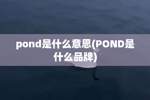 pond是什么意思(POND是什么品牌)