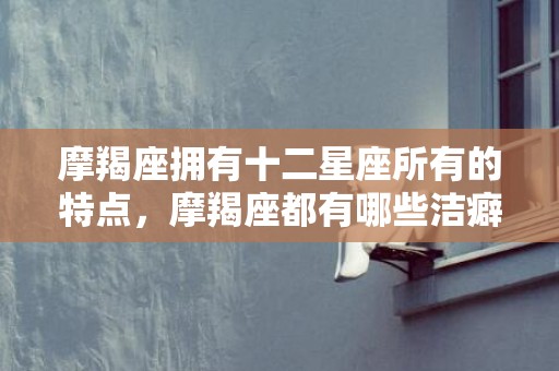 摩羯座拥有十二星座所有的特点，摩羯座都有哪些洁癖