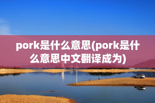 pork是什么意思(pork是什么意思中文翻译成为)