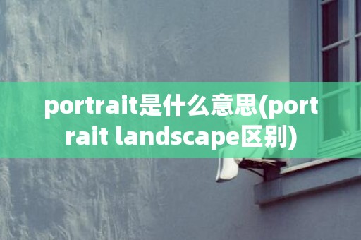 portrait是什么意思(portrait landscape区别)