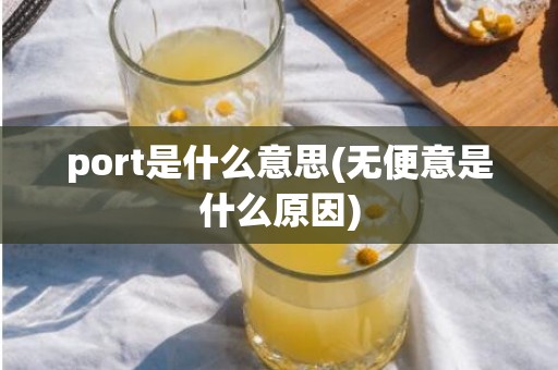port是什么意思(无便意是什么原因)