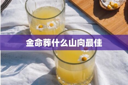 金命葬什么山向最佳