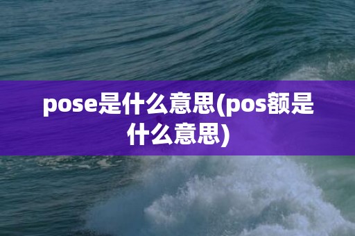 pose是什么意思(pos额是什么意思)
