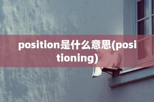 position是什么意思(positioning)