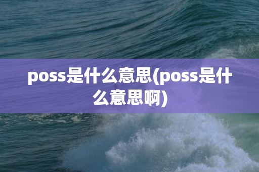 poss是什么意思(poss是什么意思啊)