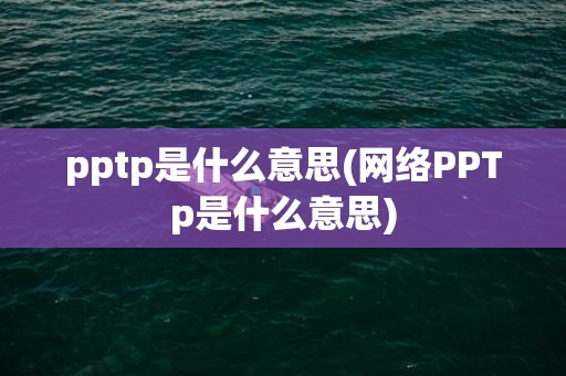 pptp是什么意思(网络PPTp是什么意思)