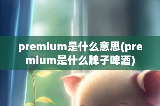 premium是什么意思(premium是什么牌子啤酒)