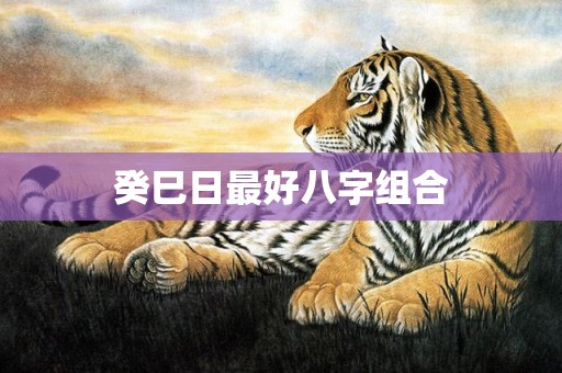 癸巳日最好八字组合